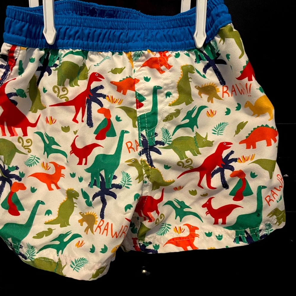 Boys swimsuit set
